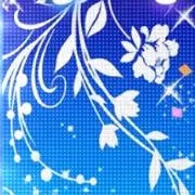 haruの画像