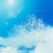 にくにくの画像