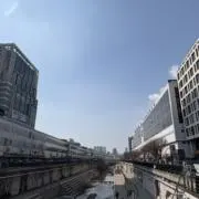 ESの画像