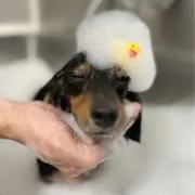あーちゃん♡