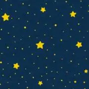 Pon