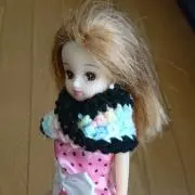 シンノリの画像