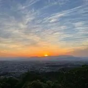 Hamaの画像