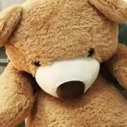 とまの画像
