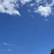 muuの画像