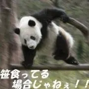 YOSSY (よっしー)の画像