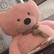 msの画像