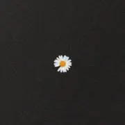 はるの画像