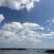 さかさま