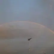 rainbow❦の画像