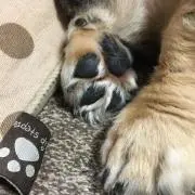 kuchiの画像