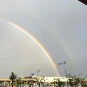 TKGの画像