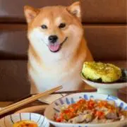 ずっしょ