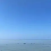 そらまめ
