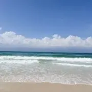 zuの画像