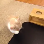 まる☻