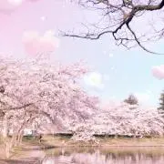 りょうこの画像