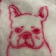 しんのすけの画像
