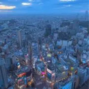 ゆうゆうの画像
