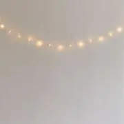 ふの画像