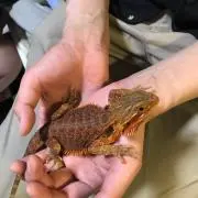 みちゃ