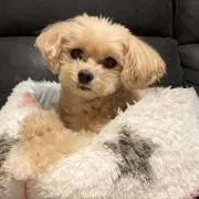 まあまあの画像