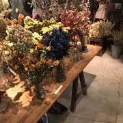 ASA☆の画像