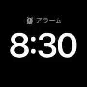 遅刻確定@次回発送9/1の画像