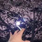 カイ