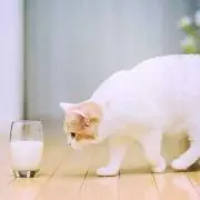 S.の画像
