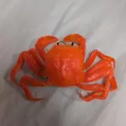 うーろんちゃの画像