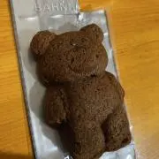 b9100veの画像