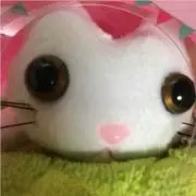 まろん ☆