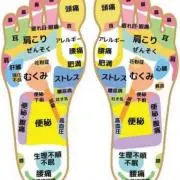 がっちゃまん