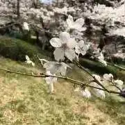 m♪.°の画像