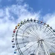 みいの画像
