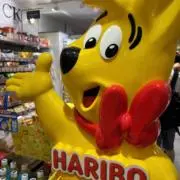 きゃんでぃの画像