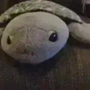 しんちゃん