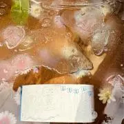 zuzu