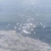 めゆの画像