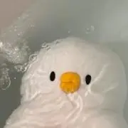 てんの画像