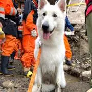 あやたか