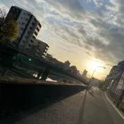 しろまめ