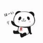 PANDA-R-の画像