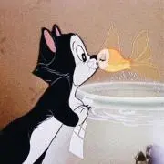 ︎✿プロフ必読の画像