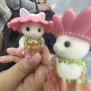 メロンの画像