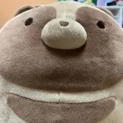 ゆきの画像