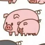 ポン太の画像