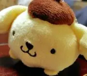 ぽむこの画像