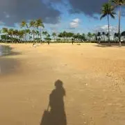 すたー☆彡の画像